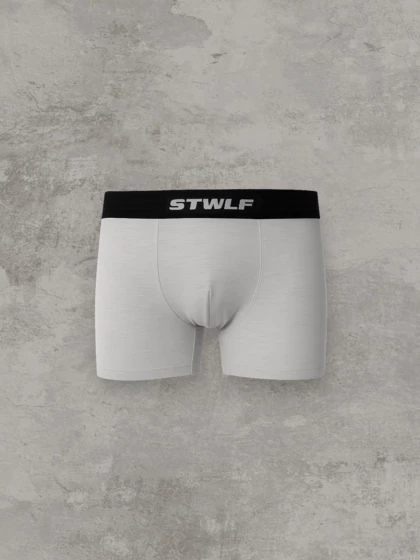 Мужские боксеры STWLF, меланж — STWLF