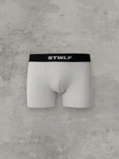 Мужские боксеры STWLF, меланж — STWLF