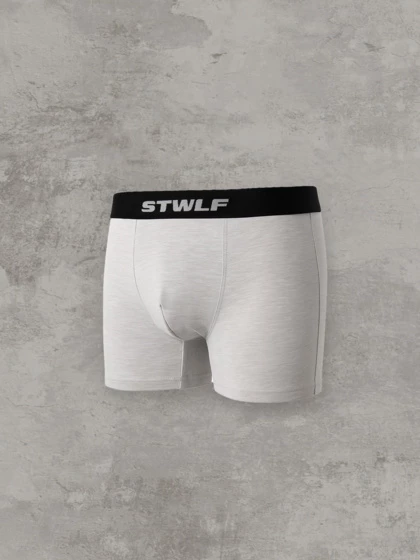 Мужские боксеры STWLF, меланж — STWLF