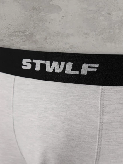 Мужские боксеры STWLF, меланж — STWLF